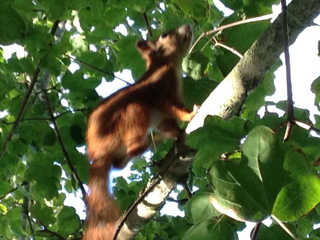 Hotel Casa Per Ferie Maria Assunta Lido di Jesolo