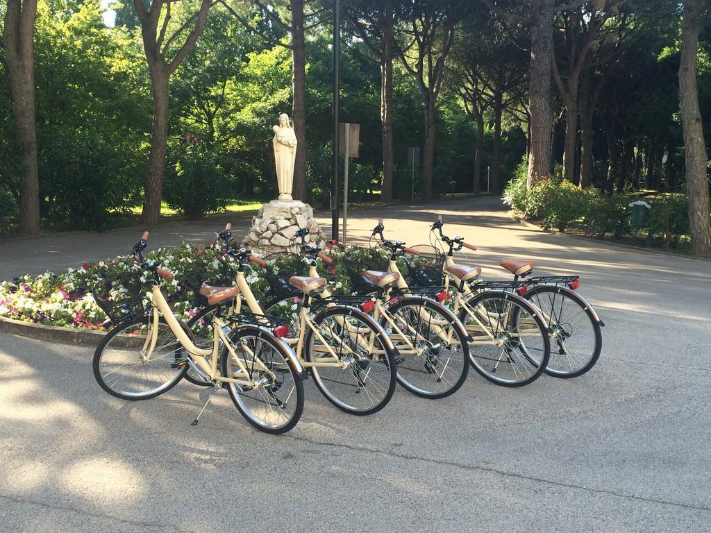 Hotel Casa Per Ferie Maria Assunta Lido di Jesolo