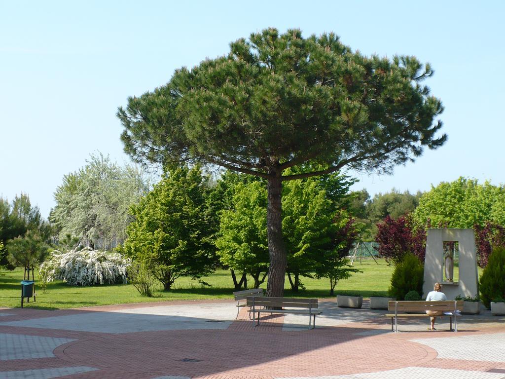 Hotel Casa Per Ferie Maria Assunta