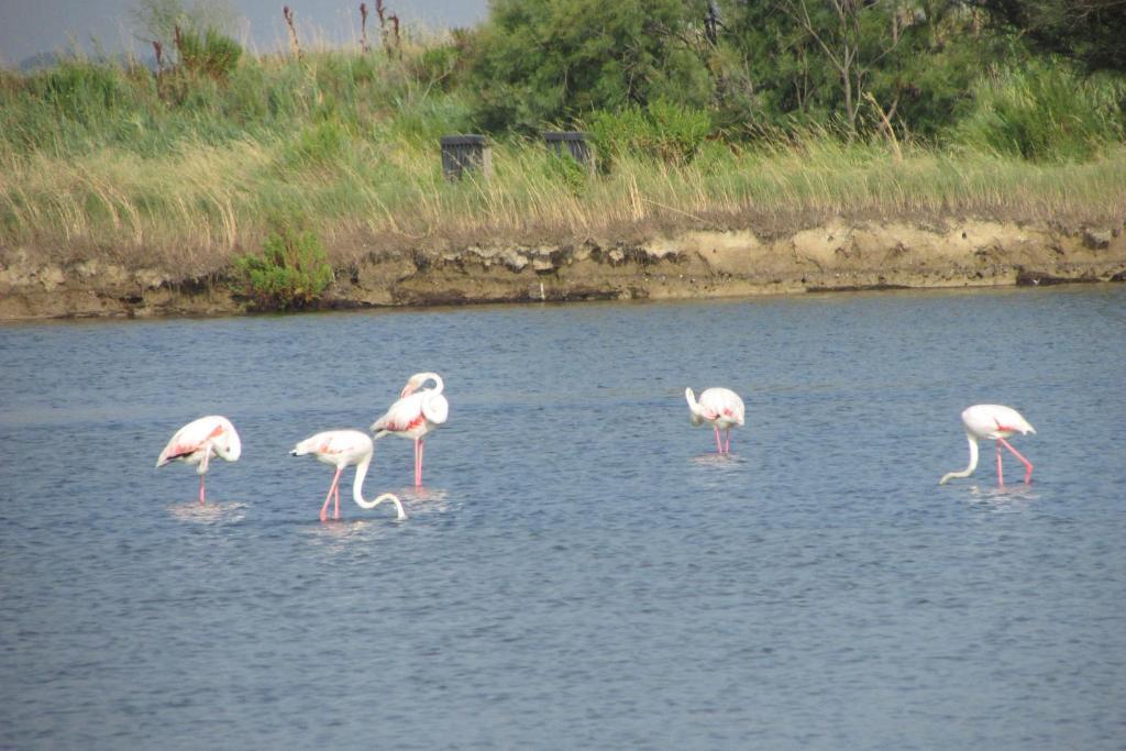 Hotel Casa Per Ferie Maria Assunta Lido di Jesolo
